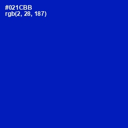 #021CBB - International Klein Blue Color Image