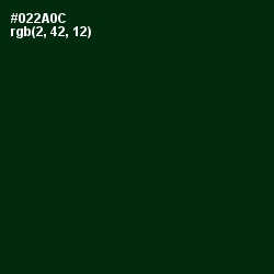#022A0C - Palm Green Color Image