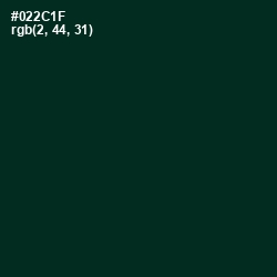 #022C1F - English Holly Color Image