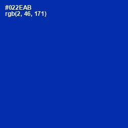 #022EAB - International Klein Blue Color Image