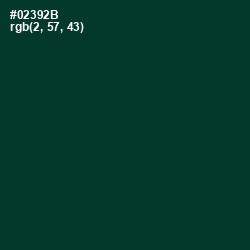 #02392B - Bottle Green Color Image