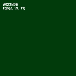 #023B0B - County Green Color Image