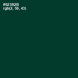 #023B2B - Bottle Green Color Image