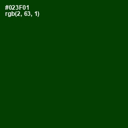 #023F01 - Deep Fir Color Image