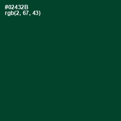 #02432B - Sherwood Green Color Image