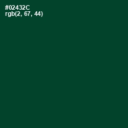 #02432C - Sherwood Green Color Image