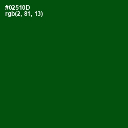 #02510D - Dark Fern Color Image