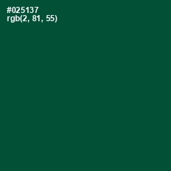 #025137 - Sherwood Green Color Image