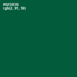 #025B3B - Sherwood Green Color Image