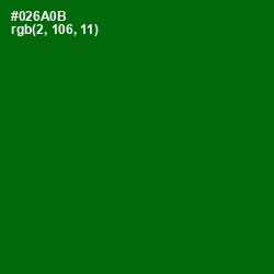 #026A0B - Japanese Laurel Color Image