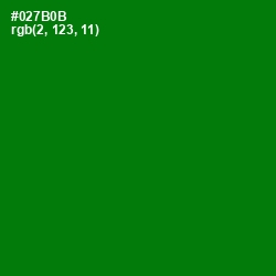 #027B0B - Japanese Laurel Color Image