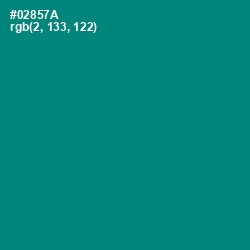 #02857A - Elf Green Color Image