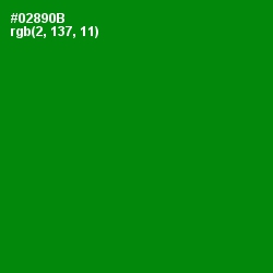 #02890B - Forest Green Color Image