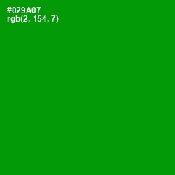 #029A07 - Forest Green Color Image