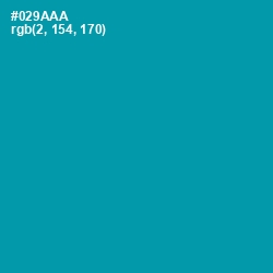 #029AAA - Bondi Blue Color Image