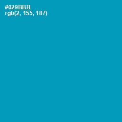 #029BBB - Bondi Blue Color Image