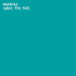#029FA2 - Bondi Blue Color Image
