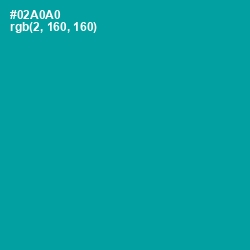 #02A0A0 - Persian Green Color Image