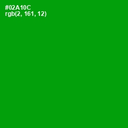 #02A10C - Forest Green Color Image