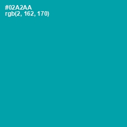 #02A2AA - Bondi Blue Color Image
