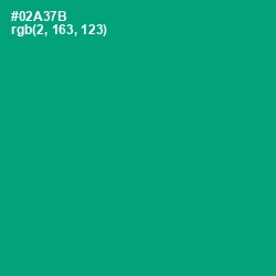 #02A37B - Jade Color Image