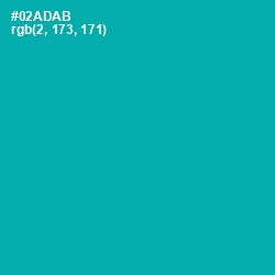 #02ADAB - Persian Green Color Image