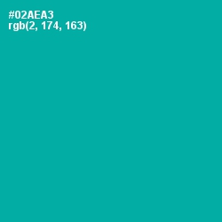 #02AEA3 - Persian Green Color Image