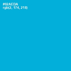 #02AEDA - Cerulean Color Image