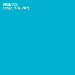 #02B0CF - Cerulean Color Image