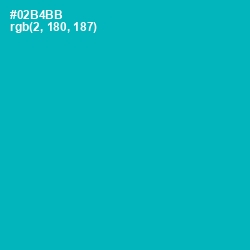 #02B4BB - Bondi Blue Color Image