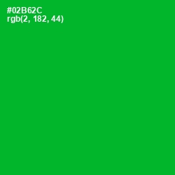 #02B62C - Forest Green Color Image