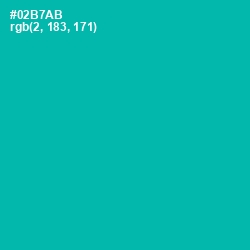 #02B7AB - Persian Green Color Image