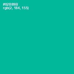 #02B89B - Persian Green Color Image