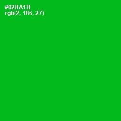 #02BA1B - Forest Green Color Image