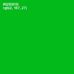 #02BB1B - Forest Green Color Image