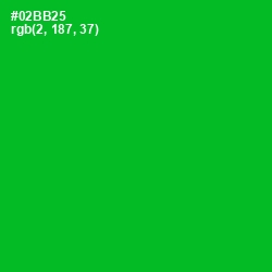 #02BB25 - Forest Green Color Image