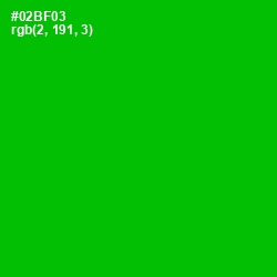 #02BF03 - Forest Green Color Image