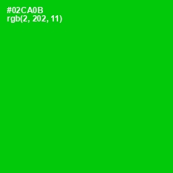 #02CA0B - Green Color Image