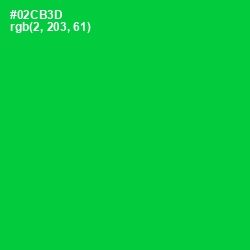 #02CB3D - Green Color Image