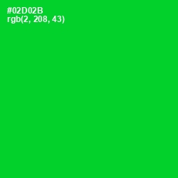 #02D02B - Green Color Image