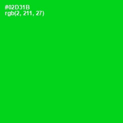 #02D31B - Green Color Image