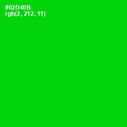 #02D40B - Green Color Image