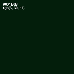 #031E0B - Black Forest Color Image