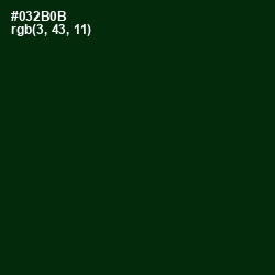 #032B0B - Palm Green Color Image