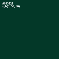 #033828 - Bottle Green Color Image