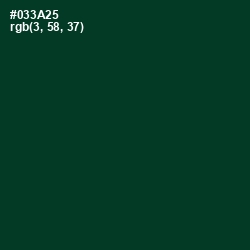 #033A25 - Bottle Green Color Image