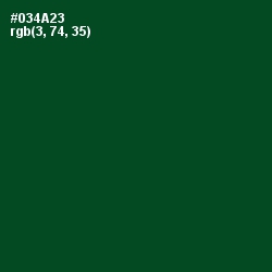 #034A23 - Kaitoke Green Color Image