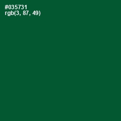 #035731 - Sherwood Green Color Image