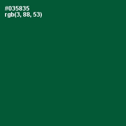#035835 - Sherwood Green Color Image