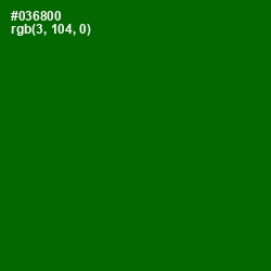#036800 - Japanese Laurel Color Image